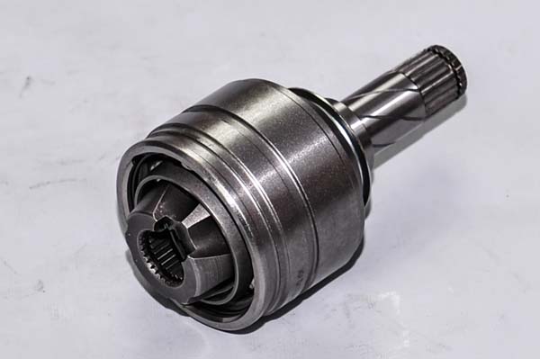 TİGRA İÇ AKS BAŞI